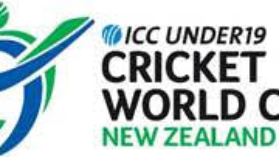 Logo 2018 Cricket World Cup New Zealand