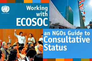 Logo Ecosoc