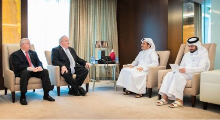 US Congressmen Meet Qatar Foreign Minister