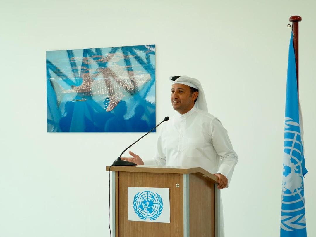 Doha: UN House Receives Striking Whale Shark Photograph From Azzam Al Mannai